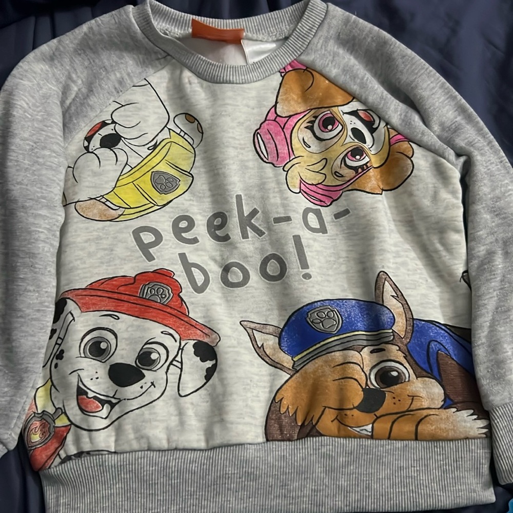 Paw patrol sweatshirt